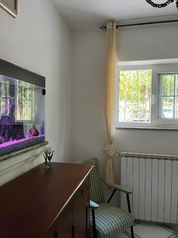 Bed and Breakfast Casa Impagliazzo Forio di Ischia Exteriér fotografie